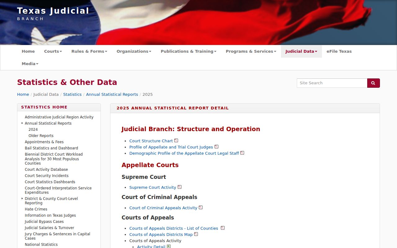 Bee County traffic court records annual report index