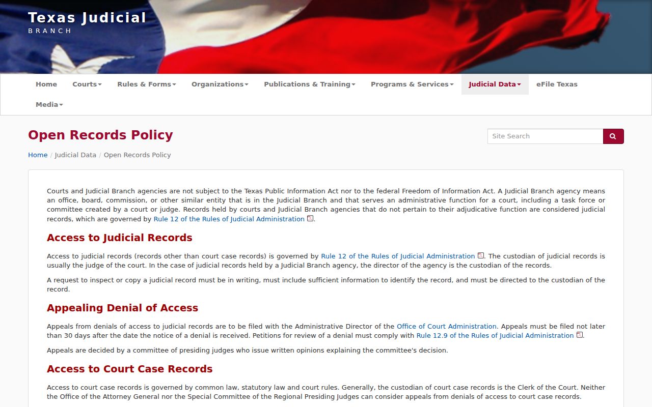 Bee County court records judicial access policy